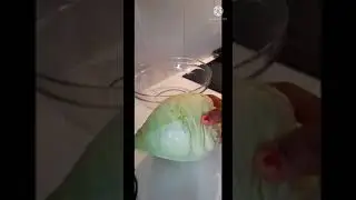 Cabbage Fufu/How to turn cabbage into fufu using two method