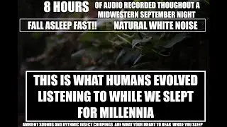 Fall asleep fast naturally! Real natural white noise of a Midwest September night . Dark Screen
