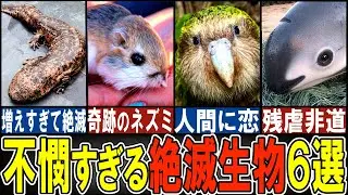 【閲覧注意】絶滅寸前の可哀想な生き物６選【ゆっくり解説】【動物おもしろ雑学】