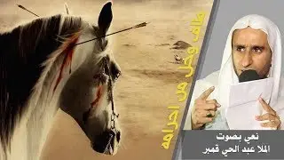 طاف وحل من احرامه | الملا عبدالحي ال قمبر - نعي حسيني