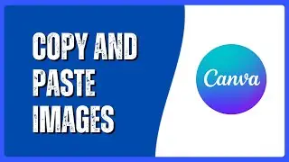 Как копировать и вставлять изображения в Canva
