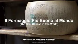IL FORMAGGIO PIÙ BUONO AL MONDO (Parmigiano Reggiano)