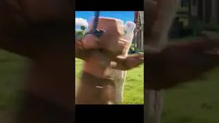 Minecraft Llama (Minecraft Movie Teaser), Is This Your Spirit Animal?#minecraft #minecraftmovie