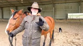 Greg Powell horsemanship clinics at Ballymount farm