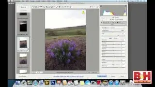 Beyond the Snapshot: Fine Art Landscape Photography