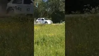 Pg Andersson i Rally Sm S&auml;ffle