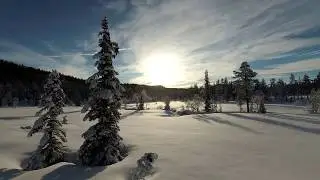 Rollag