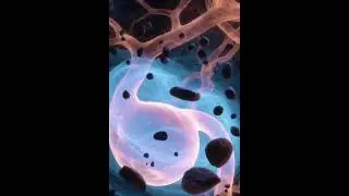 🪨Billary & Oxalate Crystal Clearance(Post Gall bladder removal  included) Frequency Healing Field 