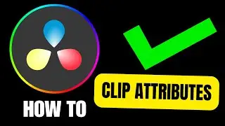 How To Copy Paste Clip Attributes in Davinci Resolve (2024)