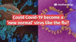 Could Covid-19 become a &lsquo;new normal&rsquo; virus like the flu?