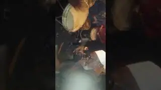 فرقة ابو حسن وابو إيلاف شف من هم الخبرة السنين عبيد ابو ماجد عماري ابو سامي عياش ابو فؤاد فهمان ابو