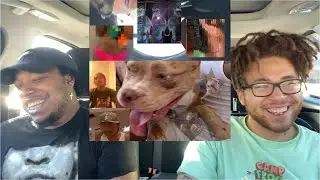 Steve Lacy - &ldquo;The Lo-Fis&rdquo; [FULL ALBUM] REACTION + WRITTEN REVIEW