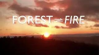Nevada County Arts Council - FOREST⇌FIRE