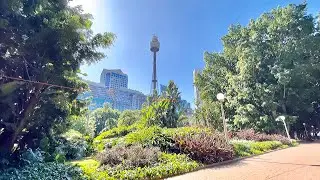 HYDE PARK SYDNEY Walk Arounds Review @ Elizabeth Street SYDNEY AUSTRALIA