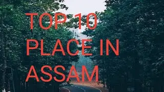 Assam Tourist Places- Top 10 cities to See in Assam Tour