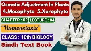 Osmotic adjustment in Plants| Mesophytes|Xerophytes|10th Biology| Chapter 2| Lec 4| Sindh text book 