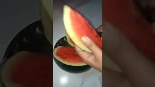 Kalingar l Watermelon l Sundari real vlog