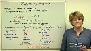 Karboksilne kiseline (Hemija III)