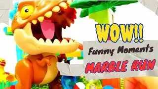Wow🙀 Funny Moments Marble Run‼️‼️#asmr #asmrmarble #feedyoutube #fun #funvideo #marble #marblerun