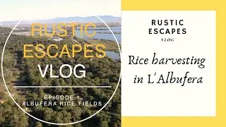 Rice harvesting in the Albufera rice fields - EP.1  -  Rustic Escapes Vlog
