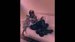 Lifelessgarments - I be on my sh*t 