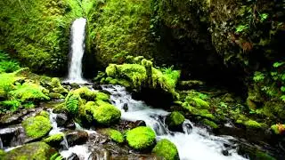 4k UHD Waterfall in lush Rainforest USA. Oregon Waterfall Sounds/ Sleep/ Focus/ Anxiety/ Meditate.
