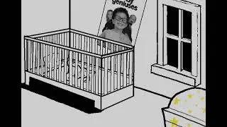 [S] Rose: Observe