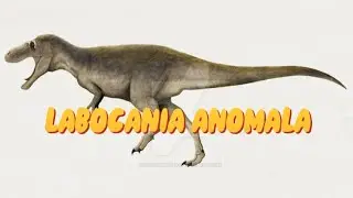 DINOPEDIA: LABOCANIA ANOMALA