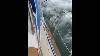 Delmarva Sailing