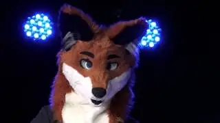 Furry Migration 2017