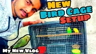 New Bird Cage Setup🦜🏡, My New Vlog😃 