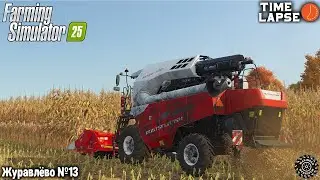 Уборка СОИ и КУКУРУЗЫ, покупка новых ПОЛЕЙ | FS25 | Журавлёво - Timelapse #14