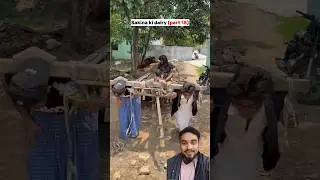 🔥#TIMELAPSE: START to FINISH Alone BUILD LOG Cabin(Wooden House) How To Build Wooden Surviva😱#funny