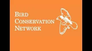 How Are They Doing? What Does 22 Years of BCN Census Data Tell Us About CW Region&rsquo;s Breeding Birds?