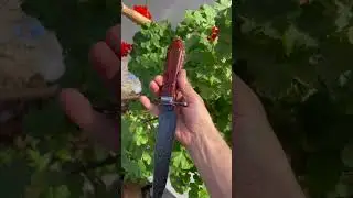 Handmade Damascus Steel Knife #huntingknife #handmade #khanjarknife
