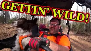CRUISING Harrison Hills ATV UTV Trail System In Lincoln County Wisconsin! WHAT A RIDE!