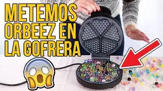 ¿PUEDES METER ORBEEZ EN LA GOFRERA?
