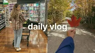 Compras no mercado, imprevistos da vida adulta, bolo de cenoura e dia de  thanksgiving