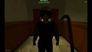 Как я играл в  Half-Life Ass (source)