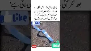 Tabahe Lati hai 🙂👍Urdu Quotes | Dangerous Fish | Motivational Video | Aqwal e zareen #shorts