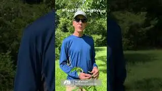 Georgia pecan growers&mdash;are you looking to protect your crops from pecan scab? #techtalktuesdays