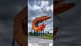 I found The big Prawn🍤 Is true on google Maps🗺️ and google Earth🌎। #shorts #trending #googleeartha2z
