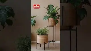 Metal Pot = Instant Stylish Plant Look 🪴✨