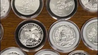 Silent Silver 🤷&zwj;♂️