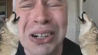 Poebota