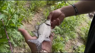 Peaceful Fishing Day | Dubois Vlog