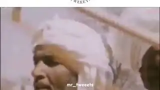 At the UAE's Sheikh Zayed's wedding