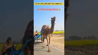 Welcome to Rajasthan 😍 भारत 🇮🇳 यात्रा #viralvideo #rajasthan  #culture