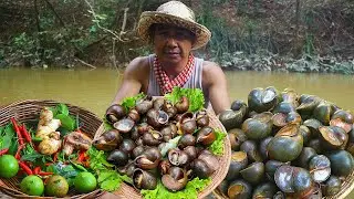 Adult Cooking Snail and Eating With Hot Chili Sauce So Yummy - cooking snails in river