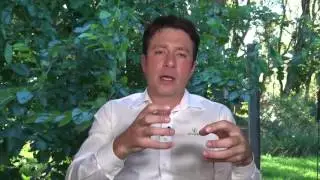 Como obter uma floresta de alta produtividade - Florestas Online